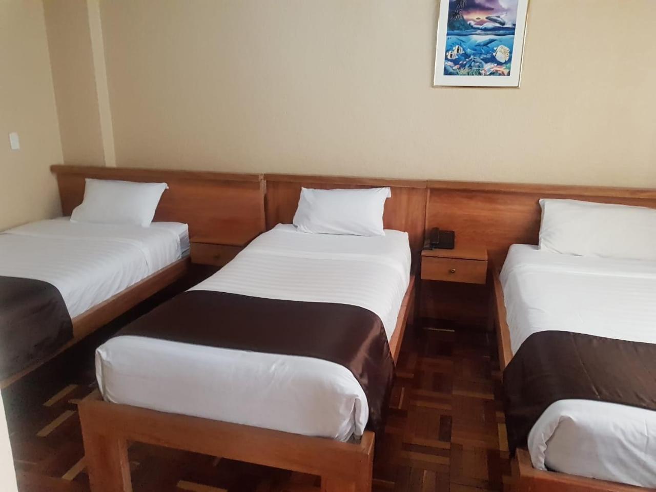 Hostal Loro Verde Quito Exterior foto